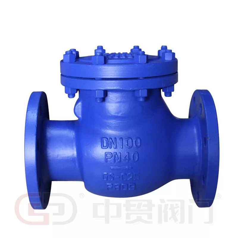 Din Swing Type Check Valve