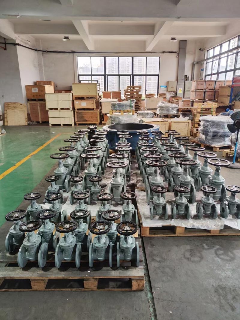 DIN Standard Gate Valve