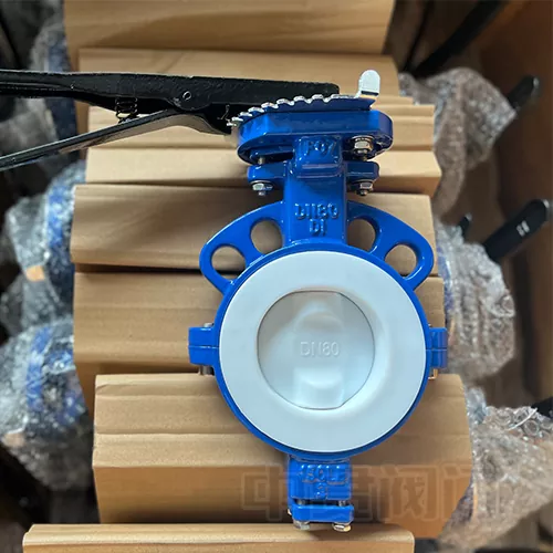 แยกวาล์วผีเสื้อที่เรียงรายไปด้วย PTFE อย่างเต็มที่